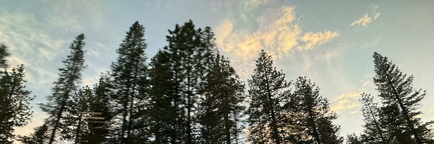 rubenfit's banner