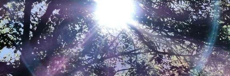 mj♡ (22/37)'s banner