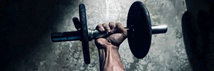 __Muscle__Fitness__'s banner