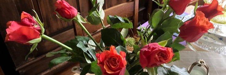 julia's banner