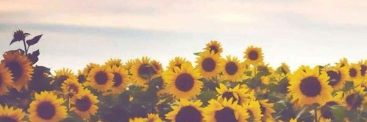 𝐅𝐀𝐀's banner
