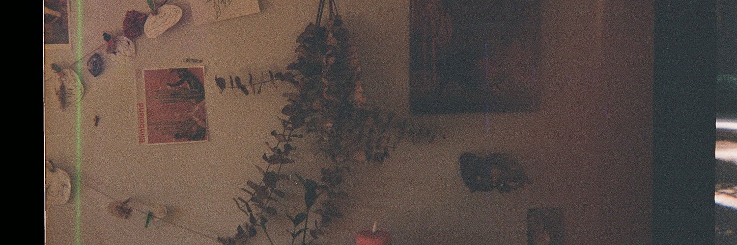 Fiona Peaches's banner
