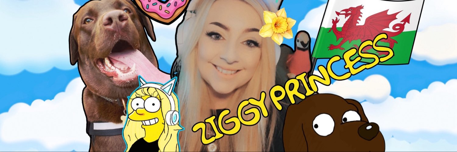 Ziggy 🌿's banner