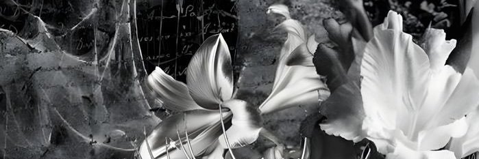 cilaa's banner