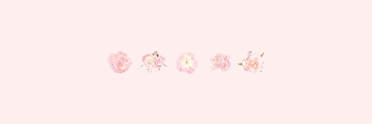 Luna's banner