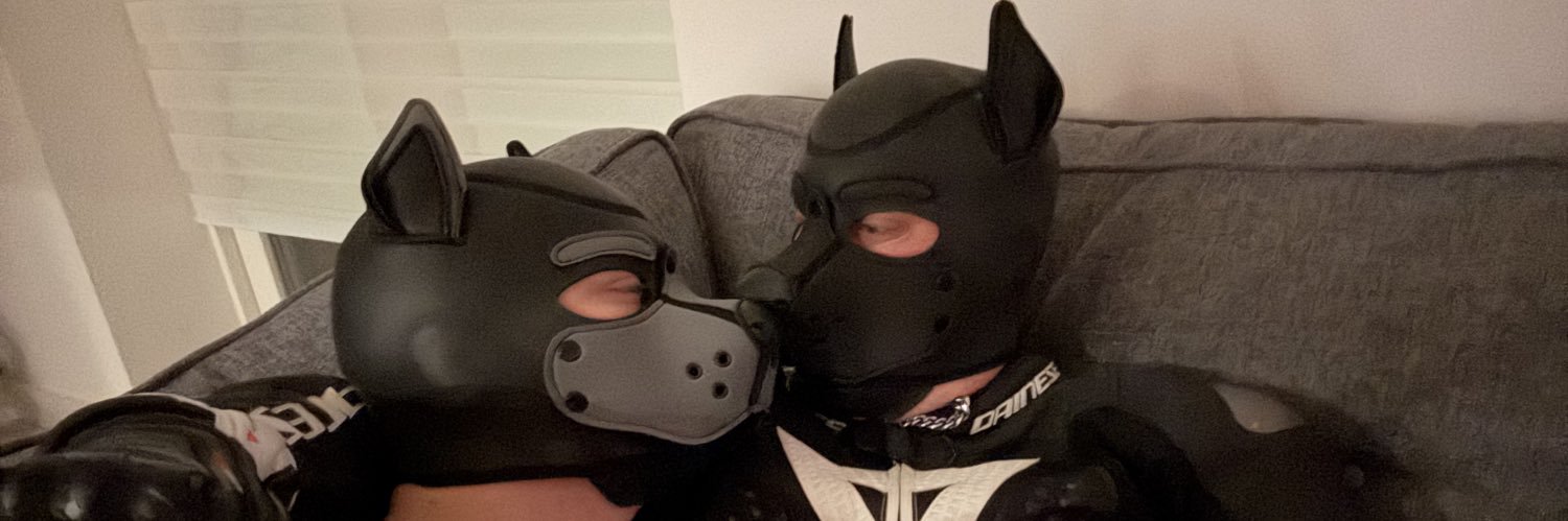 Pup_Comet's banner