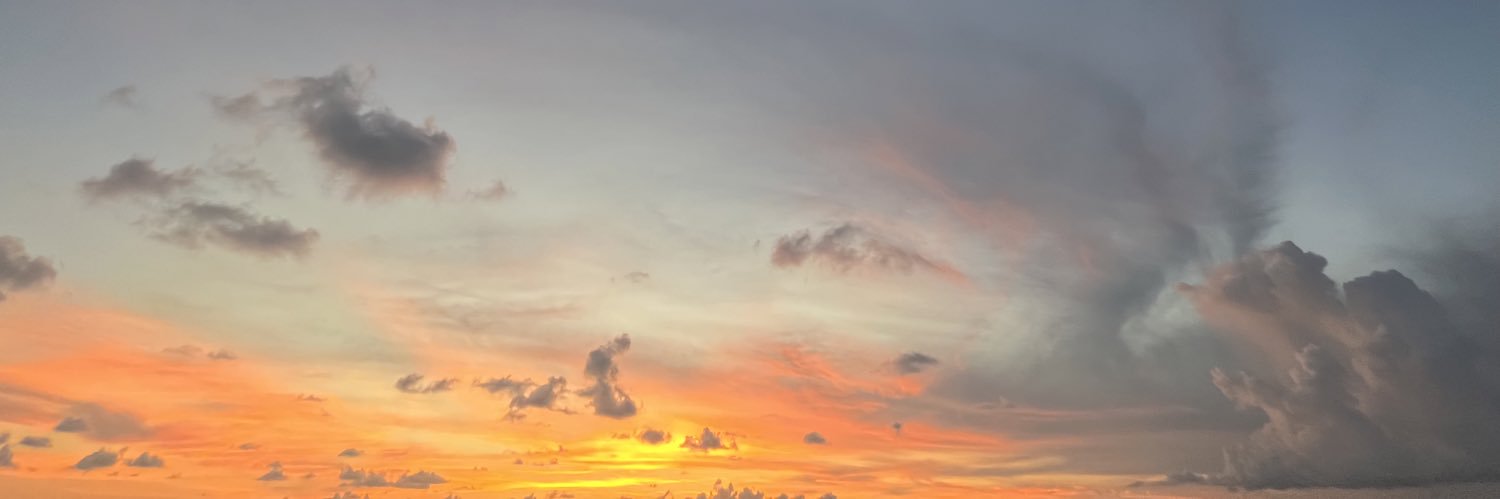 Viacolvino's banner