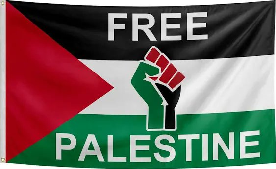 Asma Anjum Khan 🇵🇸's banner