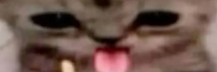 Lari🔞's banner