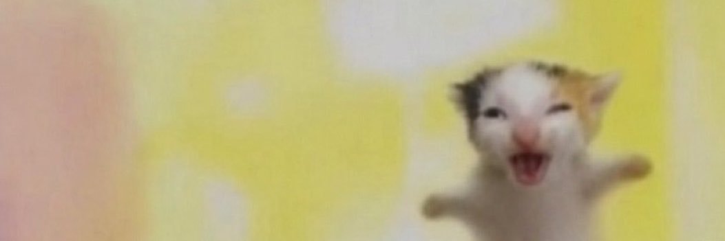 chama nenem's banner
