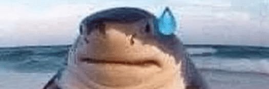 sen 🦈's banner
