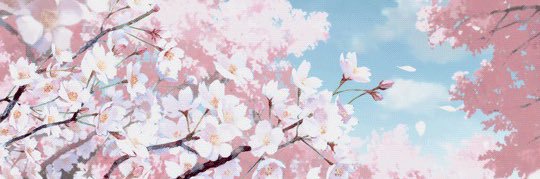Nyaaaanie's banner
