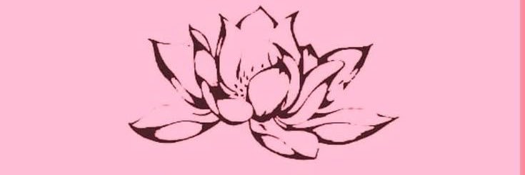 🪷's banner