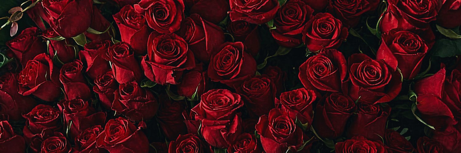 𐙚⋆'s banner