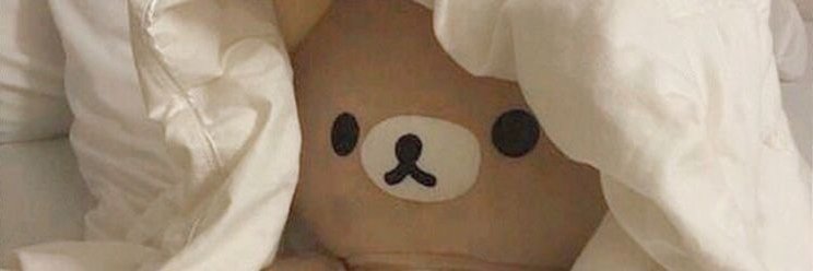Emily's banner