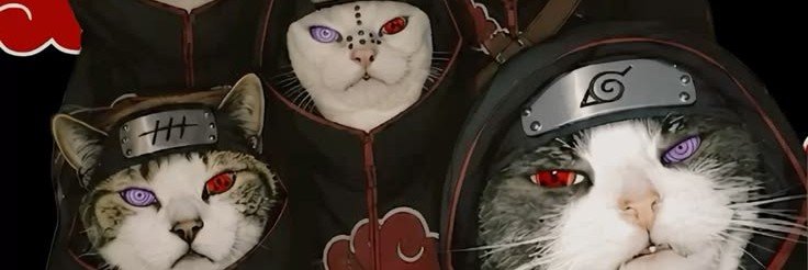 LORD AKATSUKI's banner