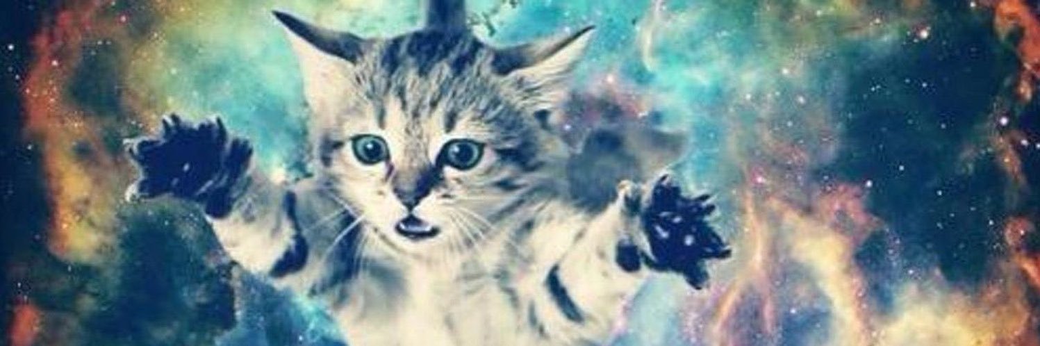 Cat ⚞ • ⚟'s banner