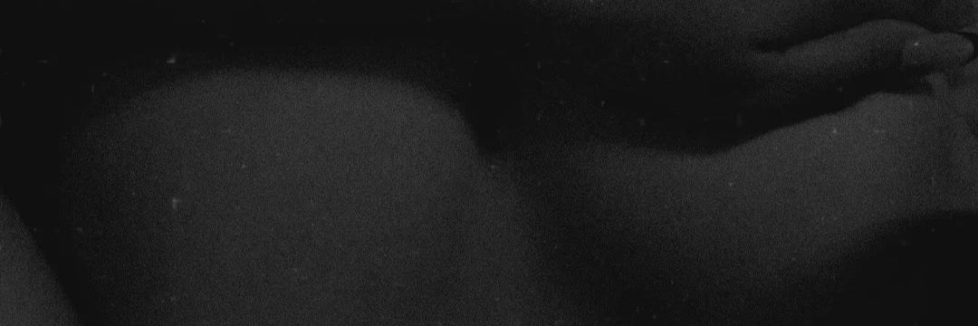 🍷🐷's banner
