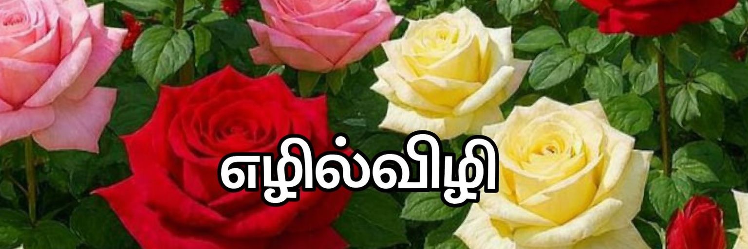 எழில்விழி 🦋's banner