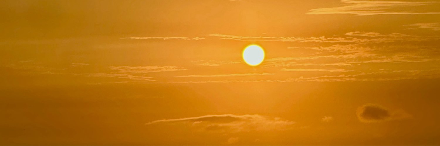 Tiránico ☭'s banner