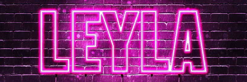 Leyla's banner