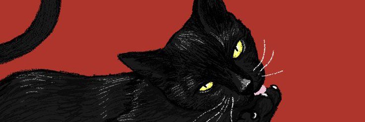 João's banner