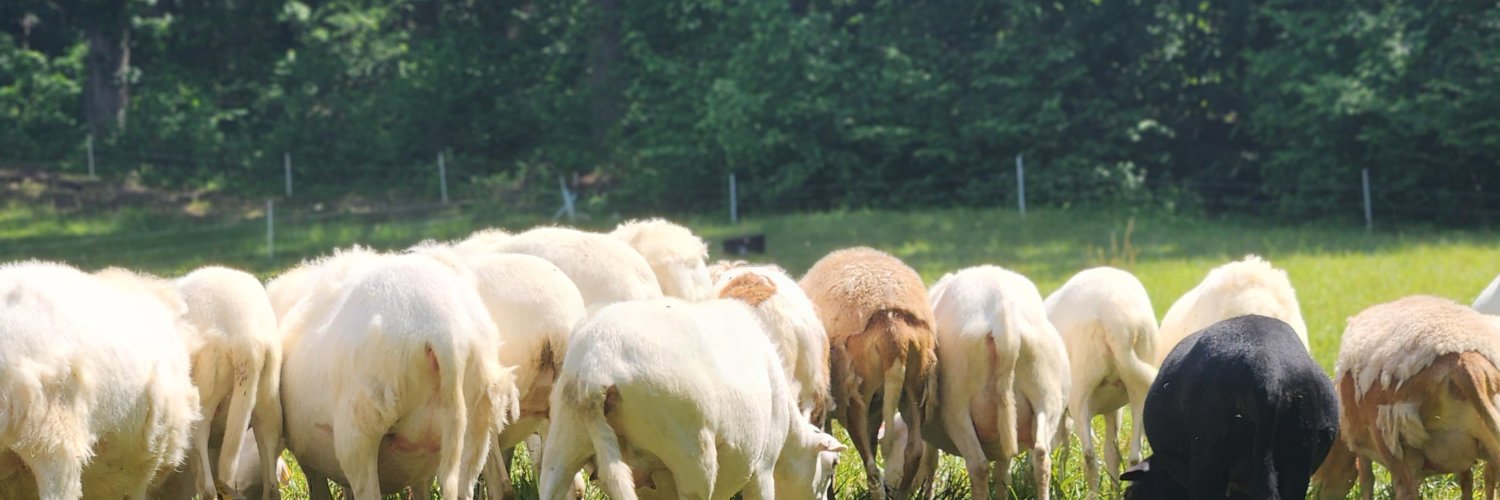 Ryan - The Young Farmpreneur's banner