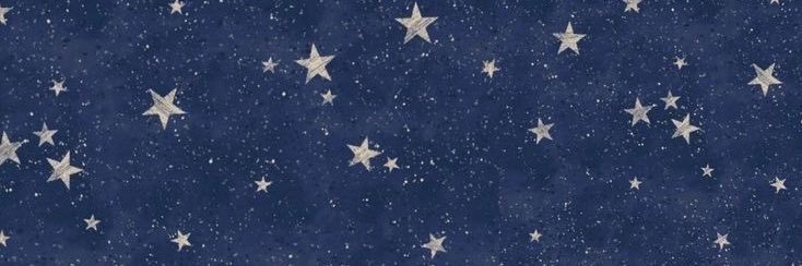 🏆 - madison²⁵'s banner