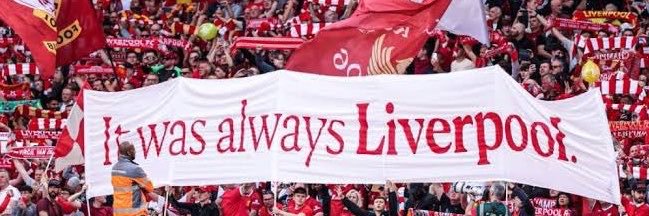 Tarzan🧌's banner