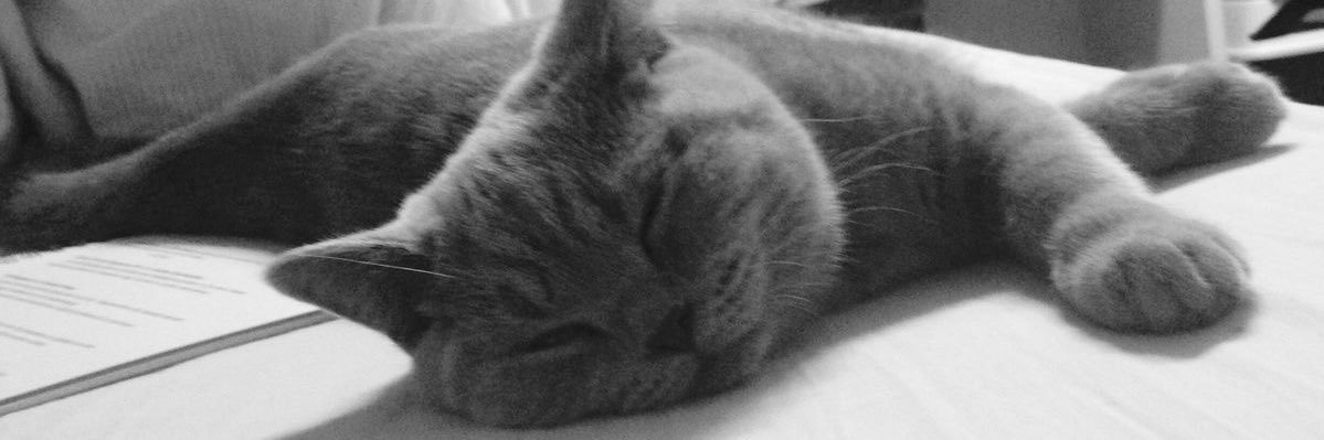 koffee 🐾's banner