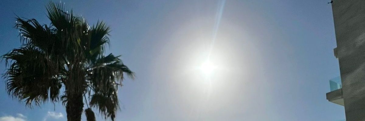anaconda33's banner