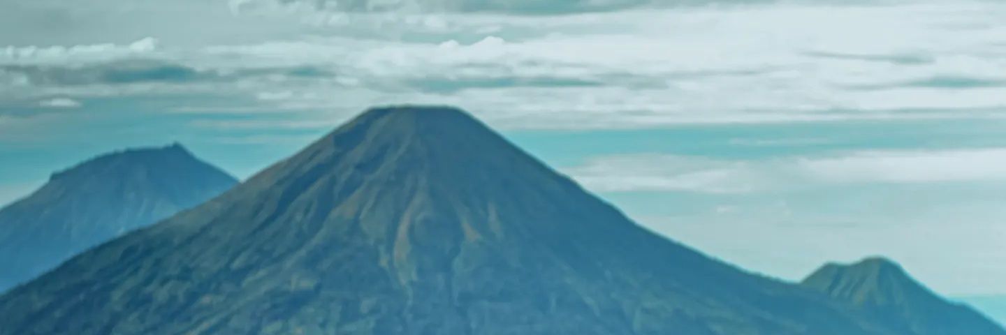 Iel's banner