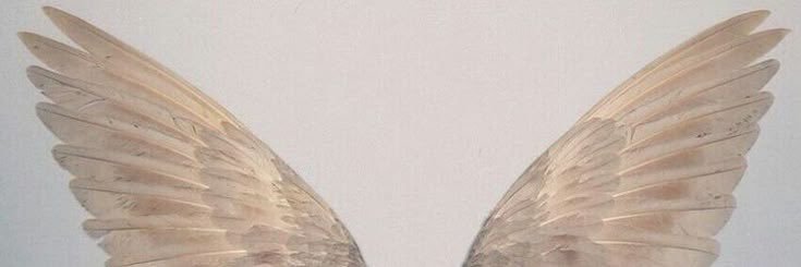 Luna 💋's banner