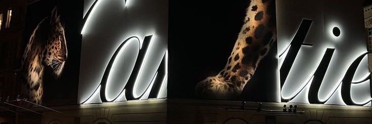 𓏲ּ𝄢's banner