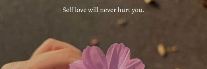 Nikki's banner