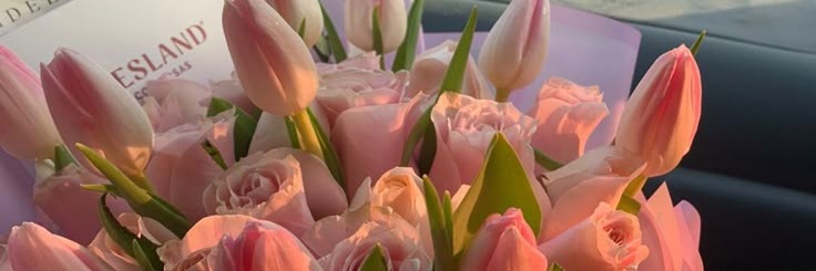 🌸's banner