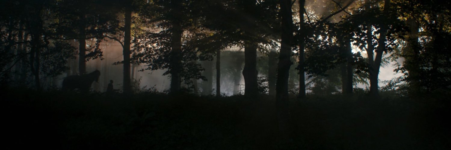 the tall's banner