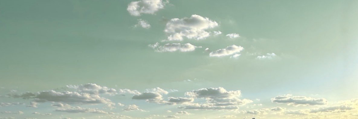 ali ꕤ's banner