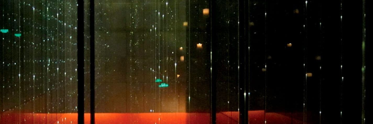 SillyBillyBreeder's banner