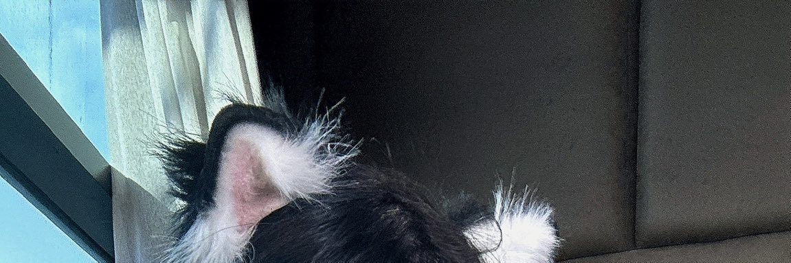 专业抓龙筋/柔式SPA/足交/培训's banner
