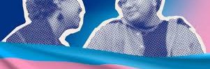 Trans Reinforcement's banner
