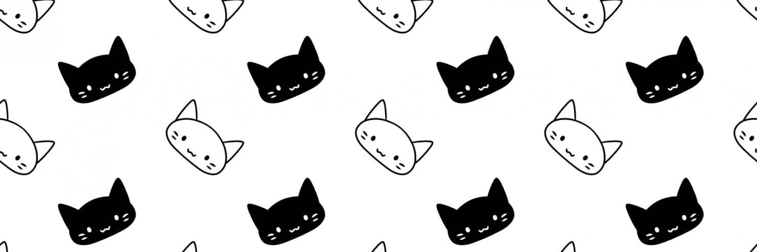 白乃あいり👀's banner