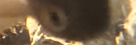 呼吸肺片🇨🇳's banner