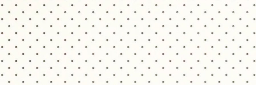 ann.'s banner