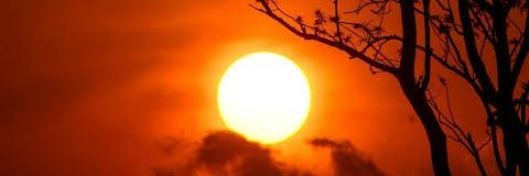 Naturevibes🌿☘️🌖's banner