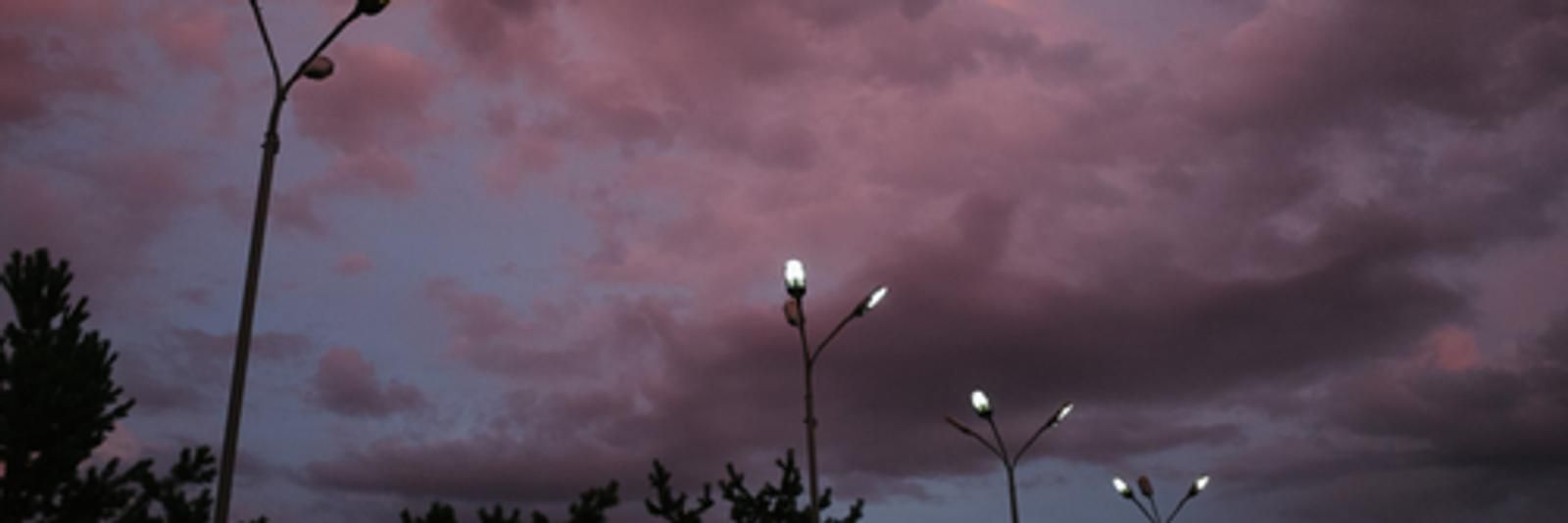 Elif ✨'s banner