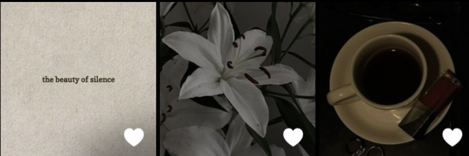 🌷bloom🌷ชอบกด❤️ ใช่กด 🔃's banner