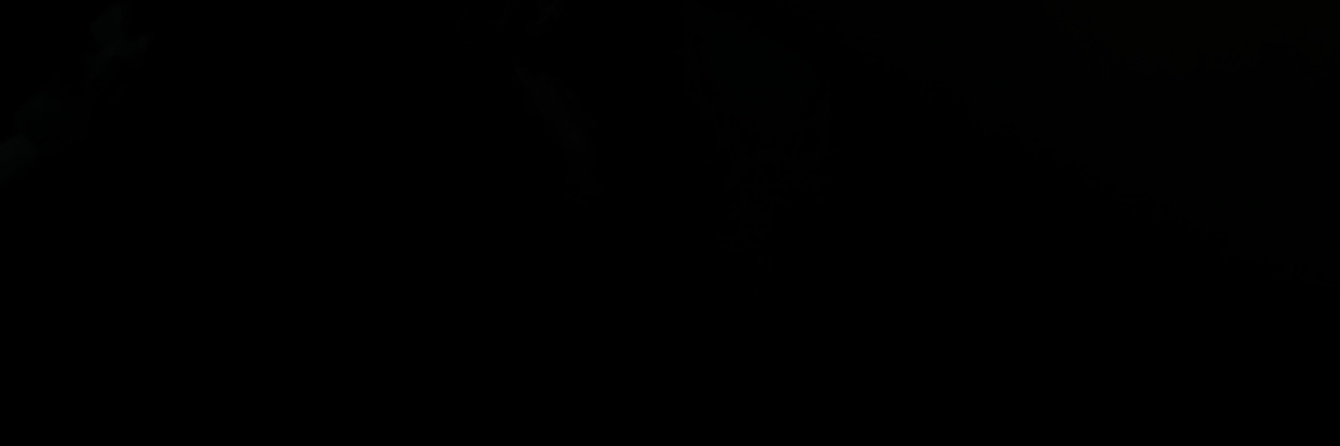 Dominique's banner