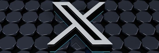 Aliza's banner