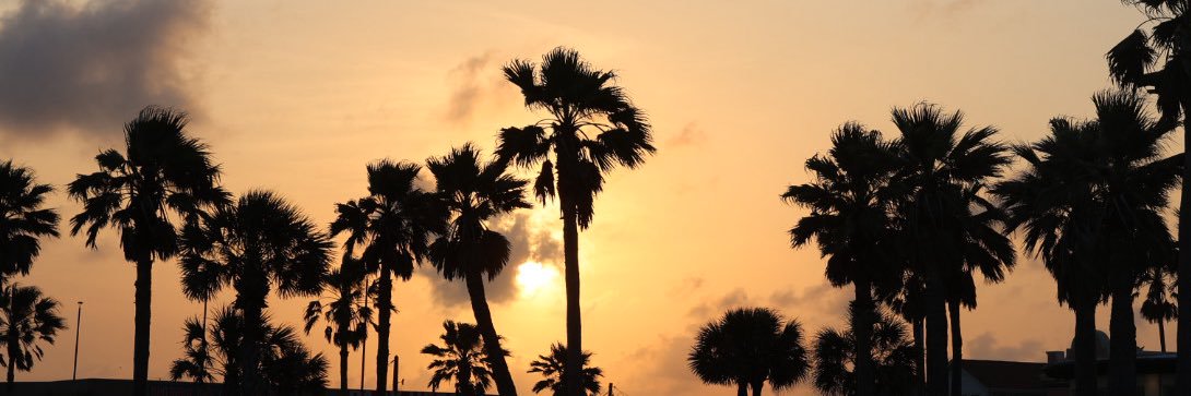 Caligamer90's banner